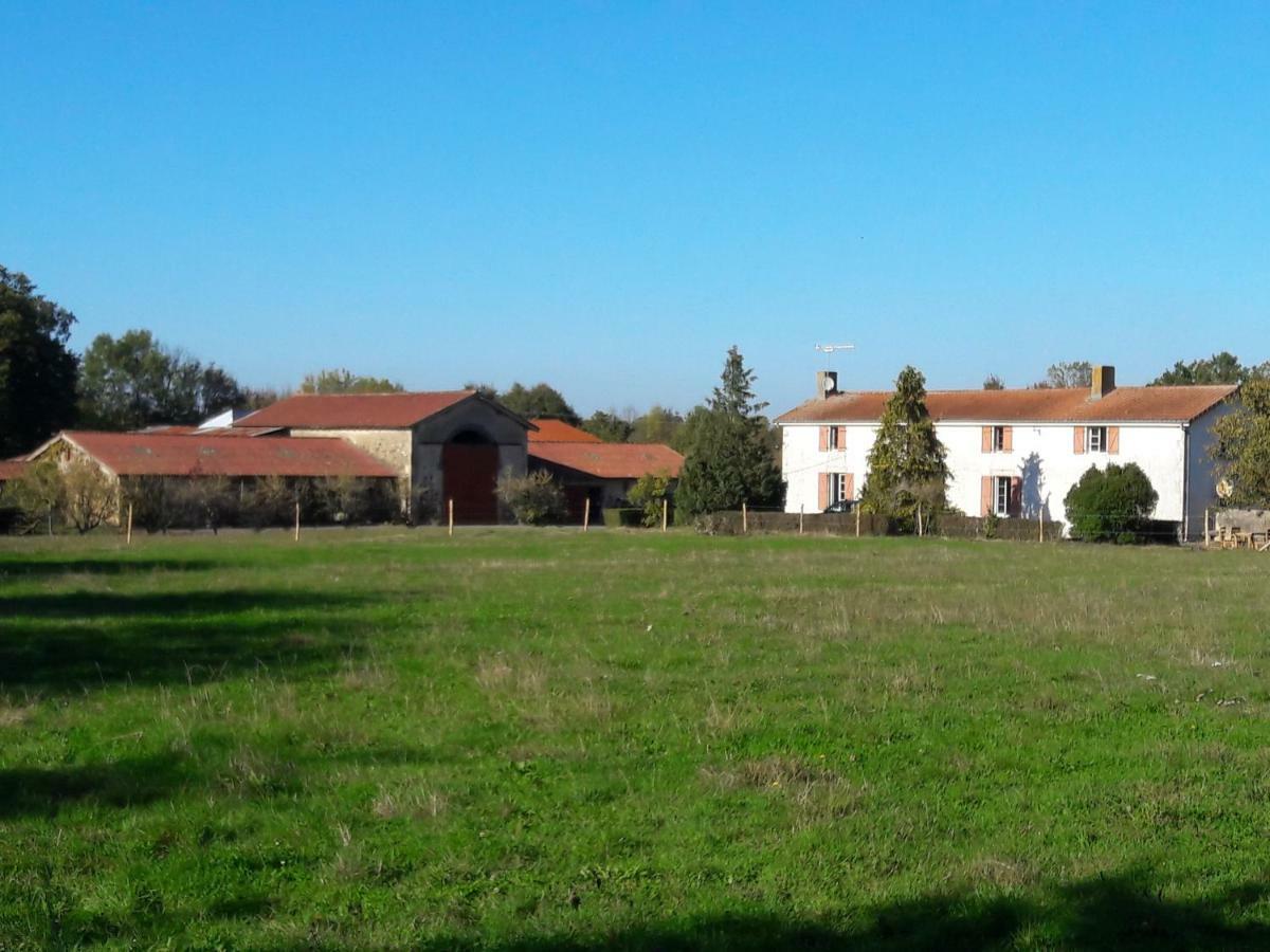 Domaine De La Sauzaie Bed & Breakfast La Pommeraie-sur-Sevre Ngoại thất bức ảnh